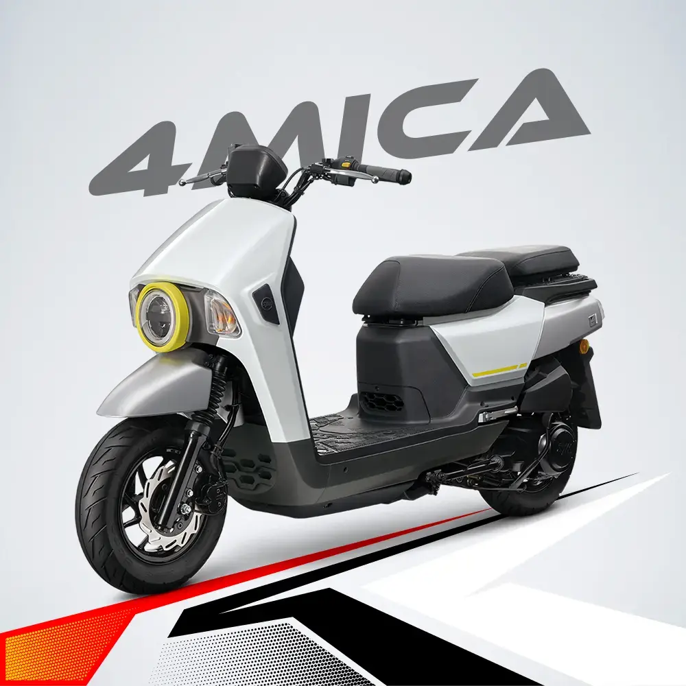 4MICA